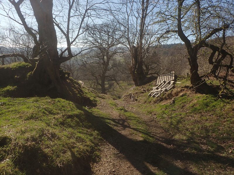 Path, Track and Road | Hanging Stones